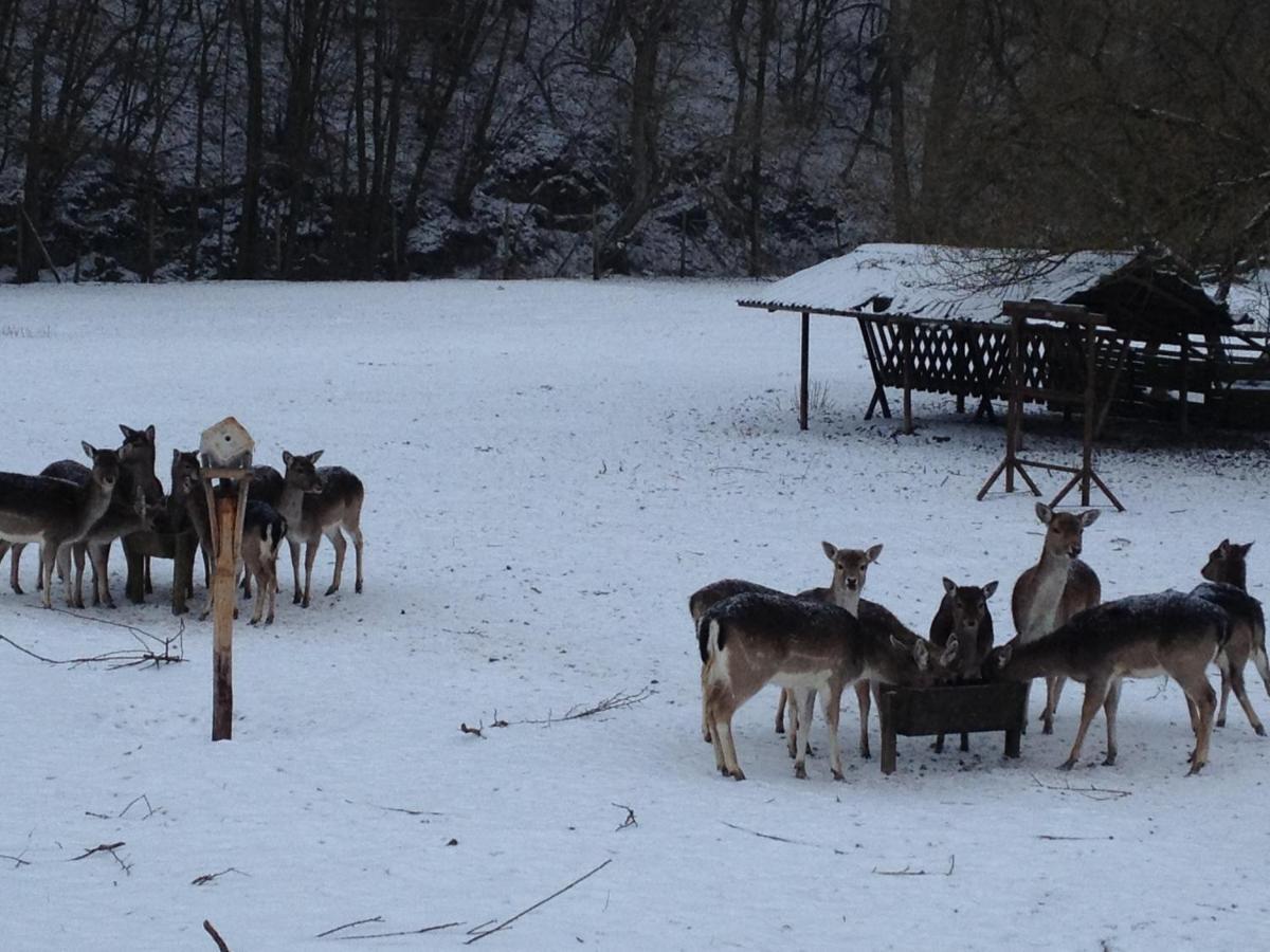 Hotel Forsthaus Volkesfeld Luaran gambar