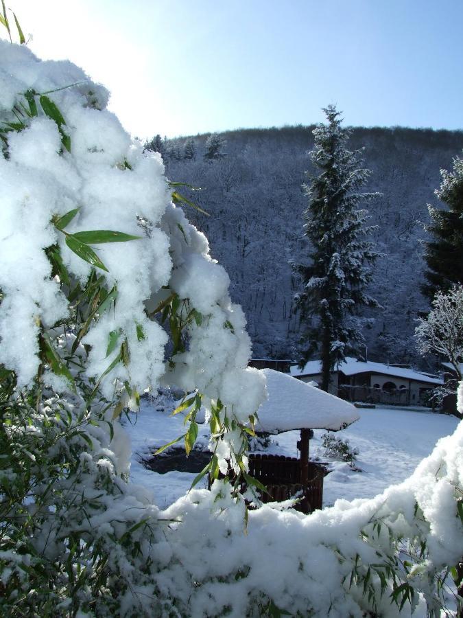 Hotel Forsthaus Volkesfeld Luaran gambar